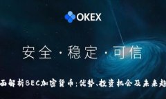 全面解析BEC加密货币：优