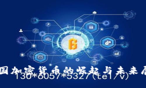 中国加密货币的崛起与未来展望