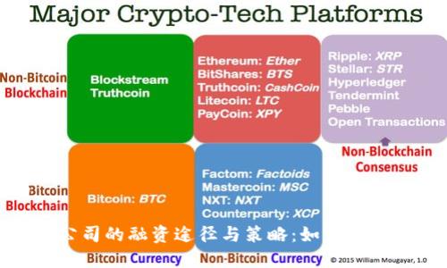 思考的

加密货币公司的融资途径与策略：如何成功筹集资金