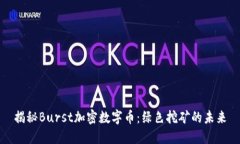 揭秘Burst加密数字币：绿色