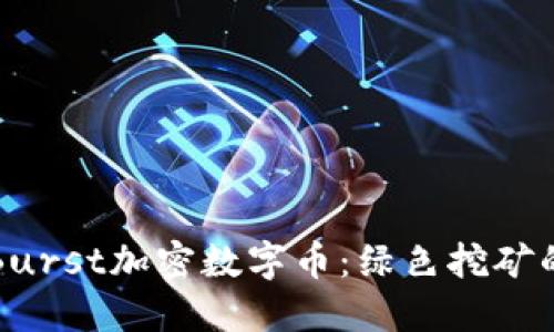揭秘Burst加密数字币：绿色挖矿的未来