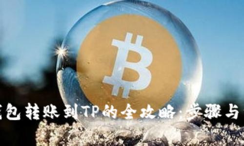 : 波宝钱包转账到TP的全攻略：步骤与注意事项