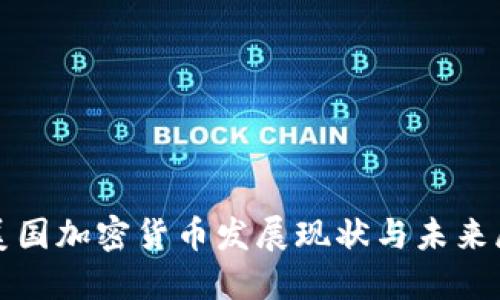 : 美国加密货币发展现状与未来展望