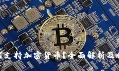 Visa如何支持加密货币？全