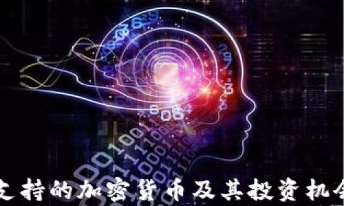 
美元支持的加密货币及其投资机会分析