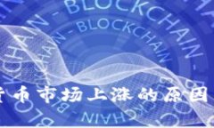 美国加密货币市场上涨的