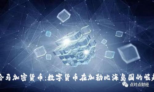探索巴哈马加密货币：数字货币在加勒比海岛国的崛起与未来