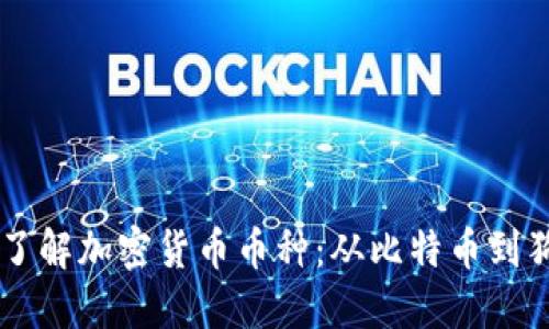深入了解加密货币币种：从比特币到狗狗币