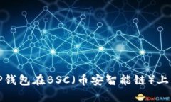 全面解析TP钱包在BSC（币安