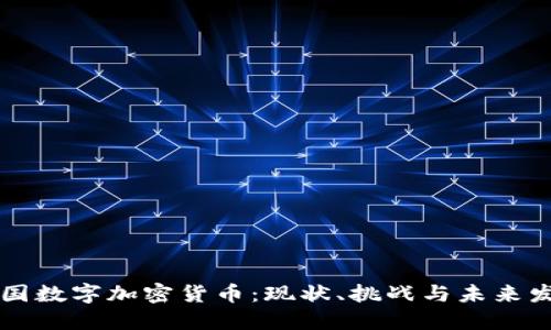 中国数字加密货币：现状、挑战与未来发展