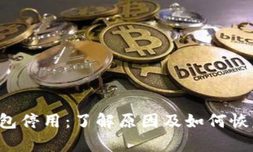  TP钱包停用：了解原因及如何恢复使用