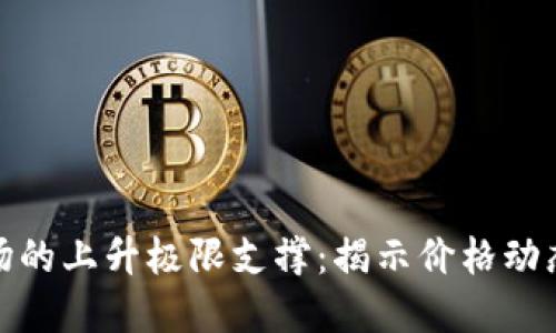 加密货币市场的上升极限支撑：揭示价格动态与投资策略