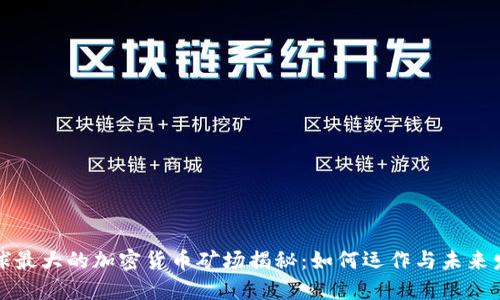 全球最大的加密货币矿场揭秘：如何运作与未来发展