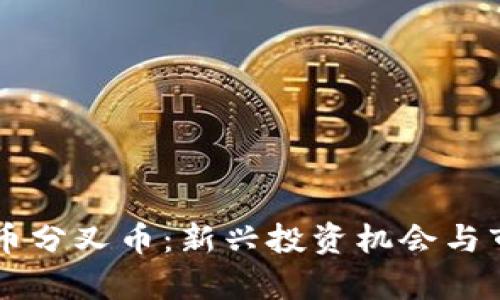 美国加密货币分叉币：新兴投资机会与市场动态分析