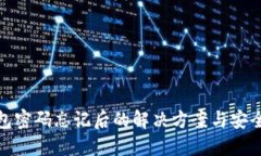 TP钱包密码忘记后的解决方