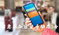 : 如何留意新加密货币动态
