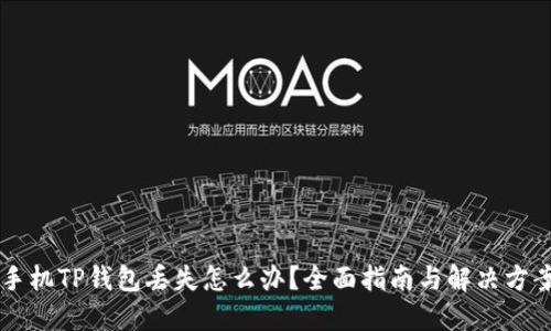手机TP钱包丢失怎么办？全面指南与解决方案