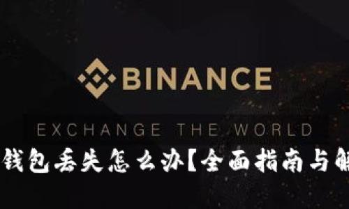 手机TP钱包丢失怎么办？全面指南与解决方案