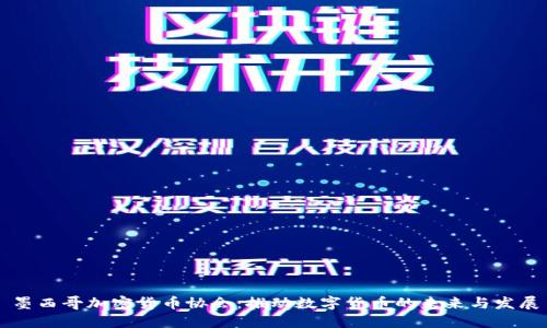 墨西哥加密货币协会：推动数字货币的未来与发展