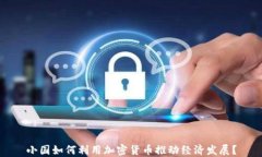 小国如何利用加密货币推