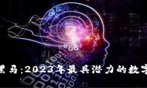 加密货币里的黑马：2023年最具潜力的数字资产投资机会