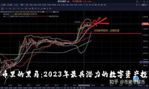 加密货币里的黑马：2023年最具潜力的数字资产投资机会