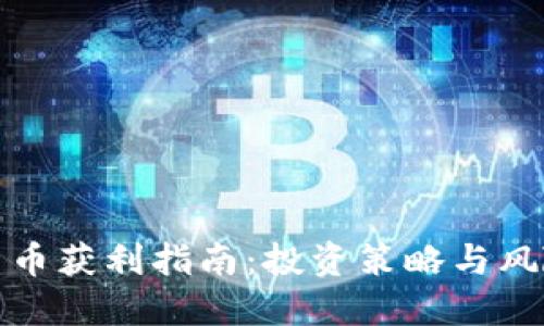 加密货币获利指南：投资策略与风险管理