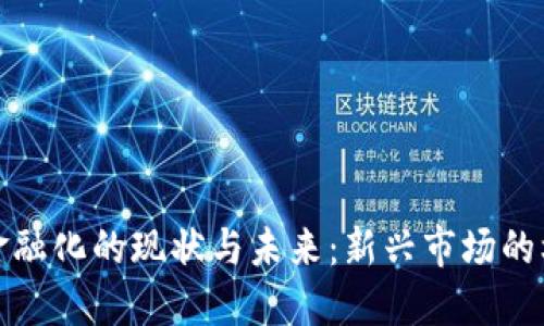 加密货币金融化的现状与未来：新兴市场的机遇与挑战