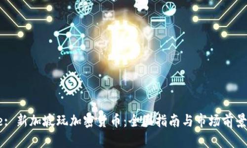 Title: 新加坡玩加密货币：全面指南与市场前景分析