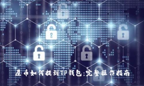 屎币如何提到TP钱包：完整操作指南