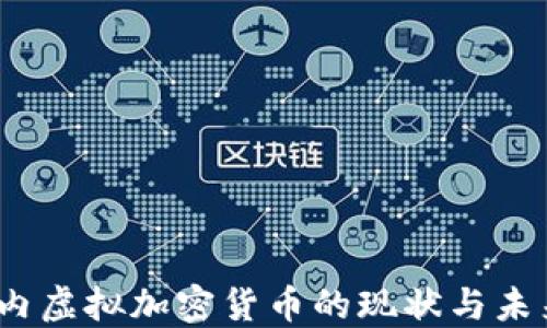 
2023年国内虚拟加密货币的现状与未来发展趋势