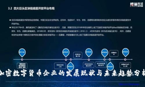 加密数字货币企业的发展现状与未来趋势分析