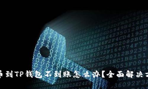抹茶提币到TP钱包不到账怎么办？全面解决方案揭秘