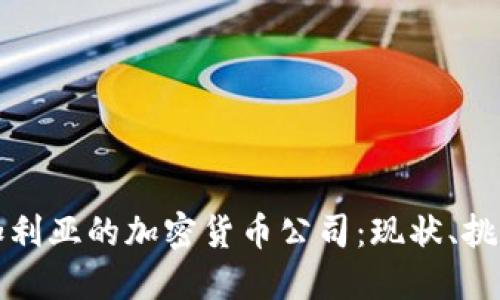 探索保加利亚的加密货币公司：现状、挑战与未来