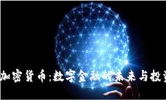  马币加密货币：数字金融