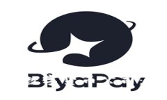 : 深入了解AMC加密数字货币