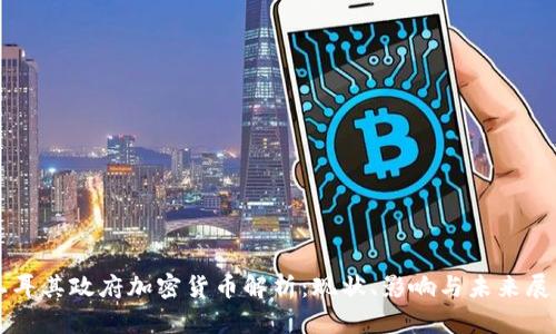 土耳其政府加密货币解析：现状、影响与未来展望
