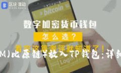 如何将BTM（比原链）放入