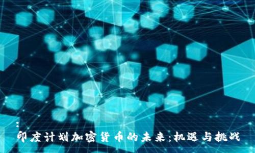 :
印度计划加密货币的未来：机遇与挑战