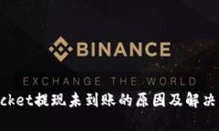 TokenPocket提现未到账的原因及解决方法解析