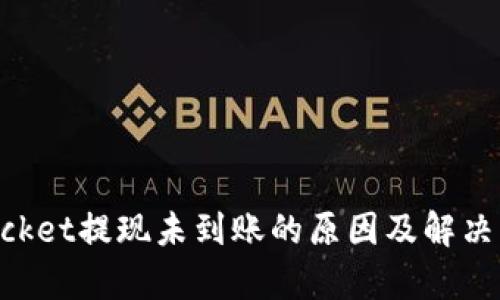 TokenPocket提现未到账的原因及解决方法解析