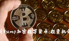 全面解析Pump加密数字货币：投资机会与风险