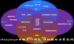 如何将Babydoge币提至TP钱包：详细教程与常见问题