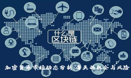  加密货币市场动态分析：每天的机会与风险