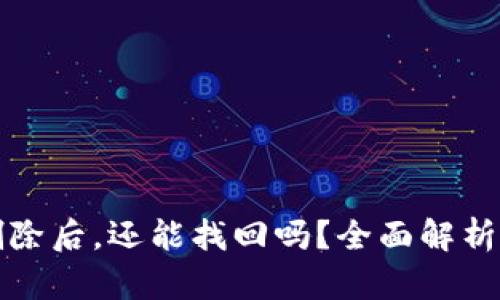 TP钱包币删除后，还能找回吗？全面解析与解决方案